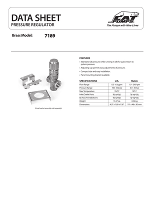 Cat Pumps Pump - CWH0P4 preview