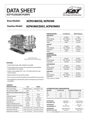 Cat Pumps Pump - LMKO9E preview